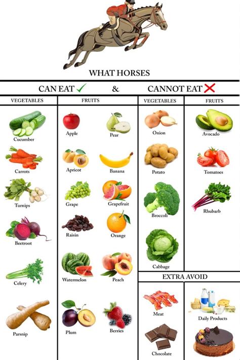 food horses    eat healthy horses horse food horse facts