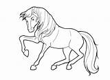Stallion Coloring Pages Getdrawings Getcolorings sketch template
