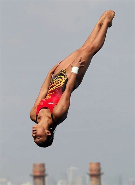 50 best diving images on pinterest diving board springboard and athlete