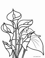 Cool2bkids Flores Ausmalbilder Blumen Yucca Fleurs Entitlementtrap sketch template