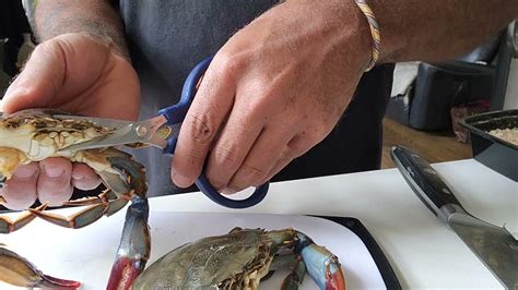 cleaning  soft shell crab  dressing youtube