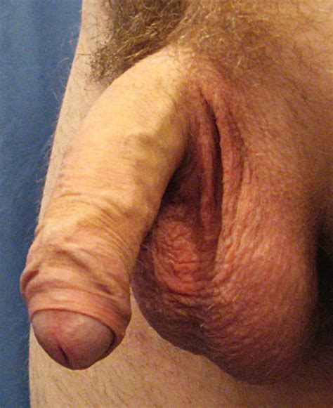 biggest human dick mega porn pics