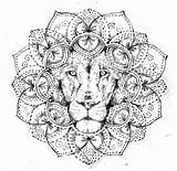 Lioness Leones Tattooimages Tatuajes Dotwork sketch template