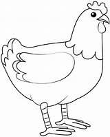 Chicken Chickens Pages Supercoloring sketch template