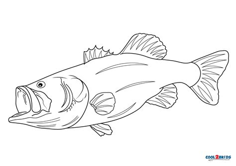 bass fish coloring pages mickeytrina
