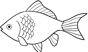 image result  gambar ikan hitam putih fish clipart