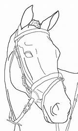 Paard Kleurplaat Pferde Malvorlagen Ruiter Pferd Dressuur Kleurplaten Lineart Wandtattoo Springend Tiere Malen Downloaden Pony Tekenen Kopf Süße Zeichnung Omnilabo sketch template