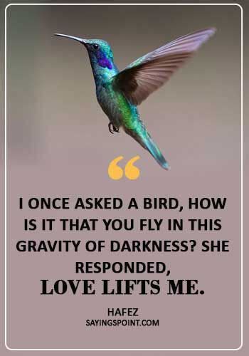 beautiful birds quotes sayings point short love poems bird quotes bird quotes short