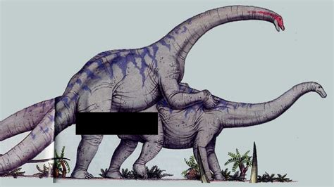 How Did Gigantic Dinosaurs Like Brachiosaurus Get It On