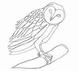 Line Drawing Owl Drawings Barn Continuous Contour Coloring Owls Deviantart Simple Print Template Popular Choose Board Coloringhome sketch template