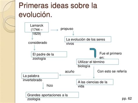 Cuadros Comparativos Y Sinópticos De Las Teorías Evolutivas Cuadro