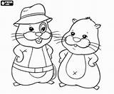 Zhu Hamster Pets sketch template