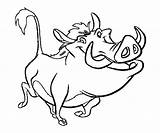 Pumbaa Coloring Pages Random Printable sketch template