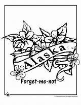 Alaska Coloring Flower Pages State Forget Kids Crafts Bird Alabama Color Flowers Jr Usa Facts Flag Patterns Printable Print Quilt sketch template