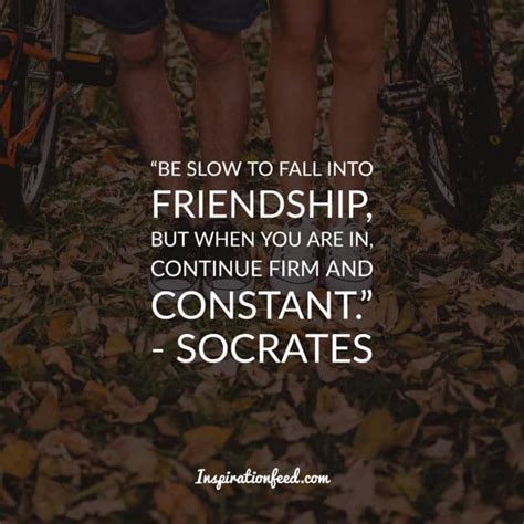 40 Friendship Quotes To Celebrate Your Friends Inspirationfeed