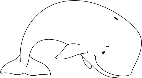 whale outline pictures clipartix