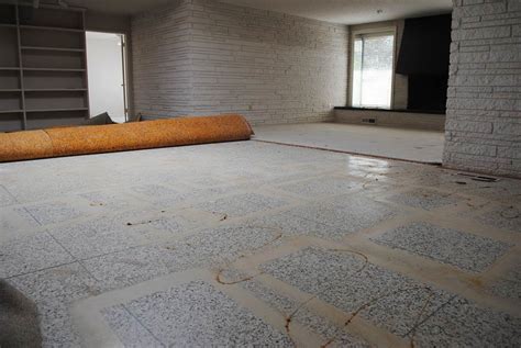 beautiful terrazzo flooring    carpet  mike lindseys house  good