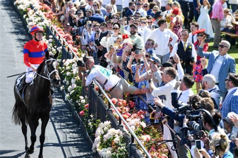 melbourne cup  horses time  odds sweep field form guide