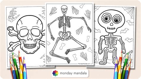skeleton coloring pages   printables