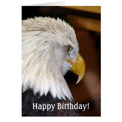 happy birthday american bald eagle card zazzle