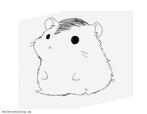 simple hamster coloring pages  printable coloring pages