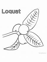 Coloring Loquat Gaddynippercrayons sketch template
