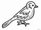 Kleurplaat Vogels Kleurplaten Vogeltjes Lente Vogeltje Uitprinten Downloaden Yoo Terborg600 sketch template