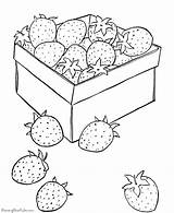 Coloring Strawberry Fresa Owoce Kolorowanki Warzywa Erdbeere Morango Caixa Frutas Pokoloruj Caja Dzieci Ausmalbild Kostenlos Fruta Shortcake Scentsy Tudodesenhos Verduras sketch template