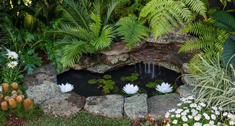 build  stunning  serene backyard pond  homes  gardens