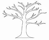 Tree Coloring Branches Pages Printable sketch template