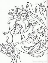 Ariel Flounder Coloring Pages Reef Xcolorings 91k 640px 851px Resolution Info Type  Size Jpeg sketch template