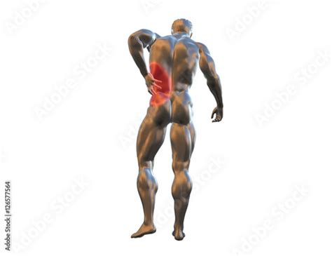 male torso pain    isolated  white background  rendered