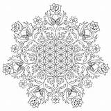Coloring Pages Flower Mandala Adults Rose Colouring Printable Flowers Adult Rocks Complex Kids Sheets Detailed Sheet Butterfly Simple Template 101coloringpages sketch template