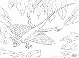 Coloring Pages Lizard Flying Dragons Xianglong Draco Printable Drawing Coloringbay Kids Popular sketch template