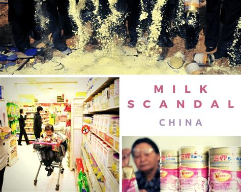 From Milk Scandal To Cross Border E Commerce Opportunities For Brands