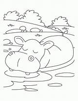 Hippo Nilpferd Ausmalbilder Hippopotamus Getdrawings Druku Kolorowanki Hipopotam Biz sketch template