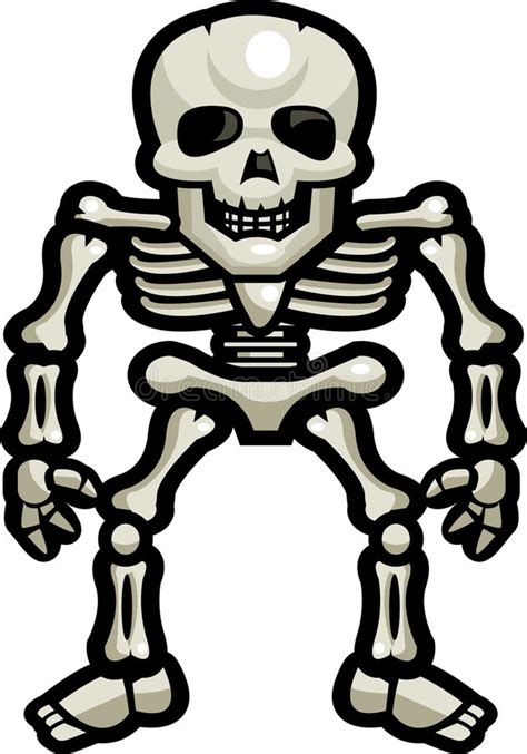 skeleton bones stock vector illustration of skeleton
