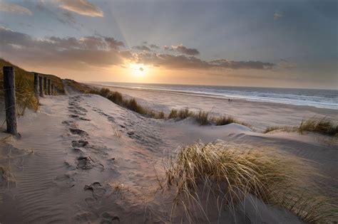 beach  sand dunes  wassenaar meijendel netherlands