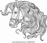 Horse Coloring Long Mane Decorated Portrait Pages Vector Shutterstock Drawings Graphicriver Search Stock Music Flowers sketch template