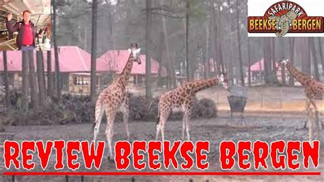 dierentuin review beekse bergen winterdroom  youtube