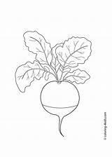 Coloring Pages Kids Vegetables Printable Radish Drawing Vegetable Potato Book Sweet 4kids Toddler Books Drawings Sheets Line Crafts Getdrawings Templates sketch template
