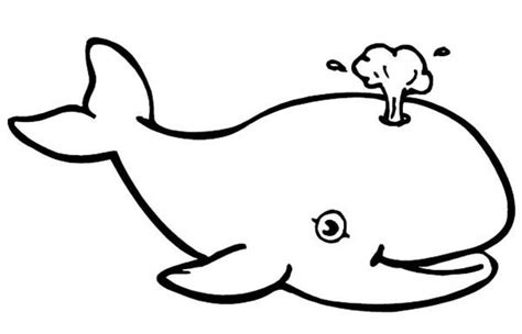 baby whale coloring page kids play color whale coloring pages