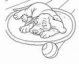 Colorear Perro Chien Durmiendo Cani Cachorro Sleep Dormindo Chiens Perritos Muerto Colorea Duerme Cachorros Desenho Deitado Dort Disegno Realiste Coloriages sketch template