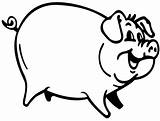 Pig Template Coloring Templates Funny Animal sketch template