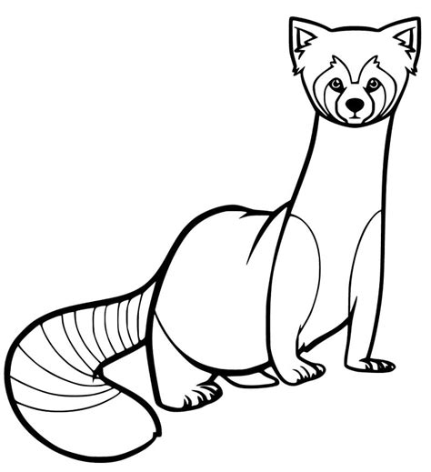 red panda coloring pages  printable coloring pages  kids