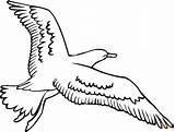 Seagull Coloring Pages Gull Flying Drawing Seagulls Bird Outline Printable Cartoon Sea Albatross Kids Clipart Print Birds Cute Getdrawings Easy sketch template
