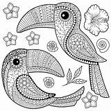 Coloriage Toucan Livre Mandala Feuilles Adultes Parmi Tropicales Illustration sketch template