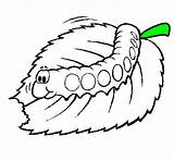 Lagarta Colorir Oruga Bruco Chenille Comiendo Caterpillar Mastica Desenhos Coloriage Mange Orugas Menjant Eruga Animaux Acolore Leaves Worms Iluminar Dibuix sketch template