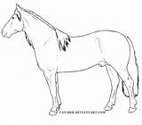 Cavalo Colorir Crioulo Criollo Kleurplaten Cavalos Paard Lineart sketch template