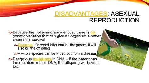 what is the main advantage of sexual reproduction over asexual